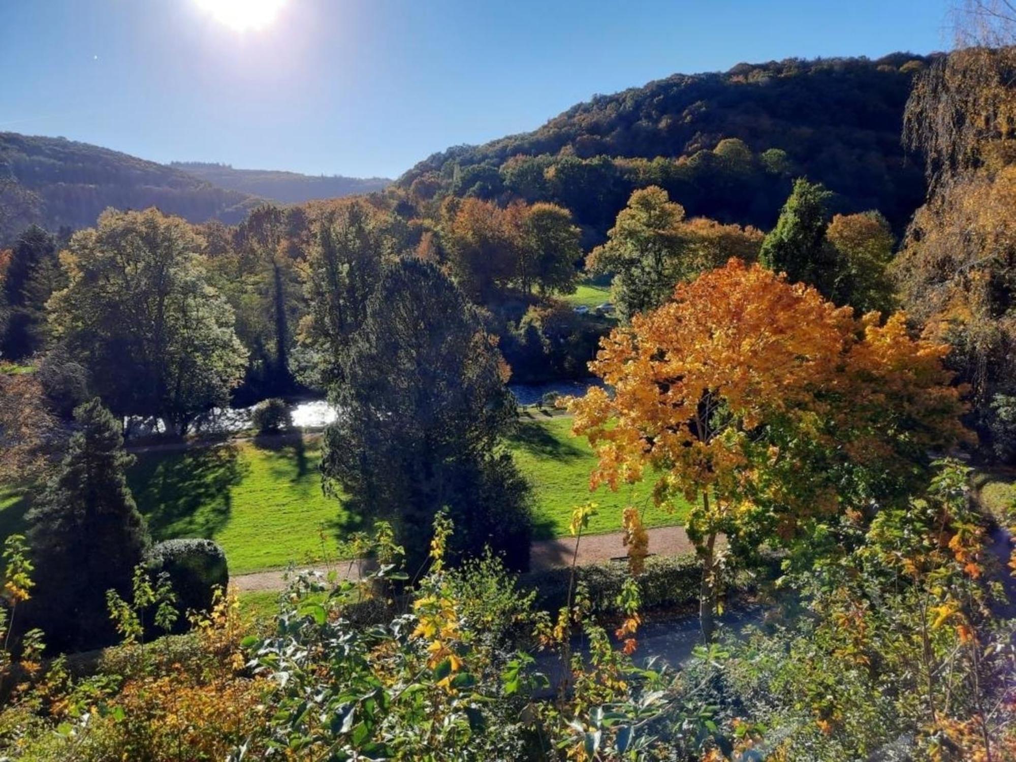 Ferienhaus &#039Freund Am See&#039 1 Heimbach Exteriér fotografie