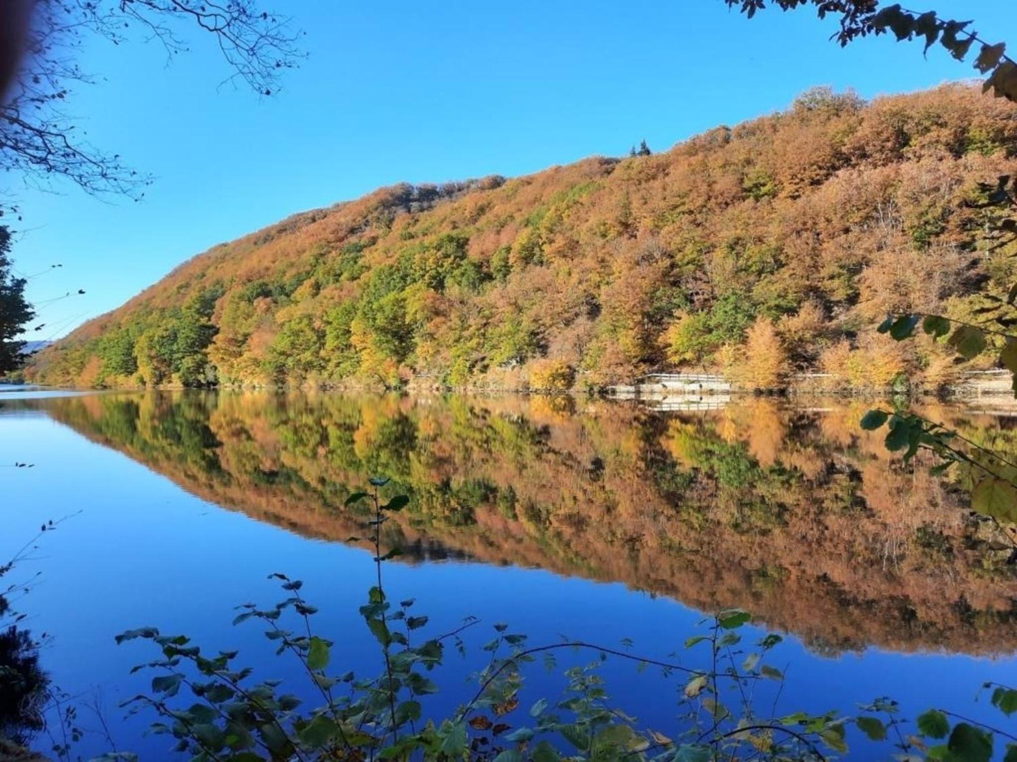 Ferienhaus &#039Freund Am See&#039 1 Heimbach Exteriér fotografie